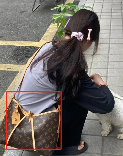 一张女大学生背影对比图,看清穷养和富养的差距,引来近千人点赞
