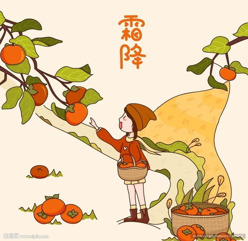 霜降卡通插画图片