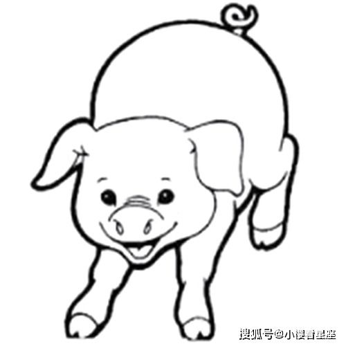 3月15日开始,财源广进,桃花朵朵开,事业顺利,开门迎财神的四属相