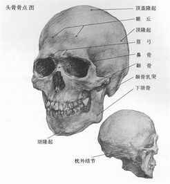 画作赏析