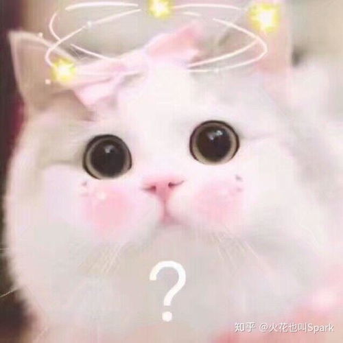 有哪些适合和妹子聊天开场白的表情包