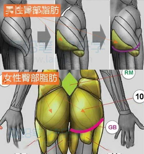 为什么我感觉我的画不好看,却说不出哪里不好看