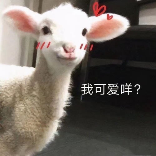 有关鸿星尔克的搞笑文案