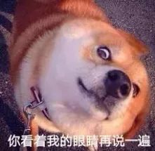 喂这是哪来的大猪蹄子跑来拱我家白菜