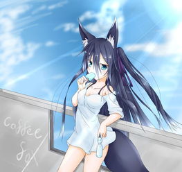 动漫兔女郎和猫女图片福利