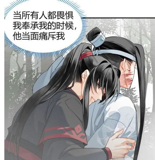 魔道动漫魏婴逃出芳菲殿,蓝湛撒腿就追,洁癖叽衣服沾血背羡羡
