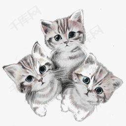 手绘可爱三只小猫咪素材图片免费下载高清卡通手绘png千库网图片编号6179499
