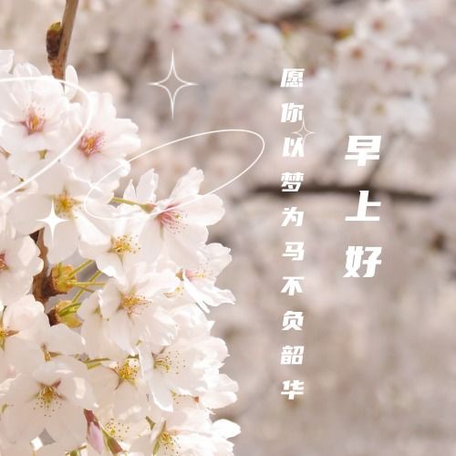 微信头像荷花并配字荷花头像带字佛系静心