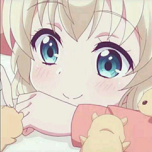 呈梦蝶影