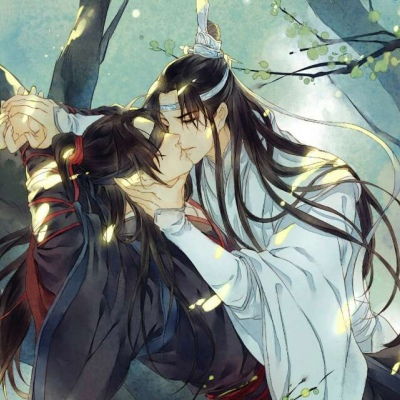 魏无羡蓝忘机