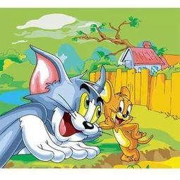 我家的猫和老鼠