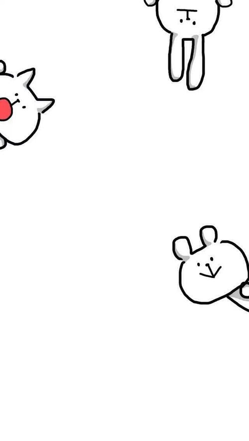 我的收藏夹