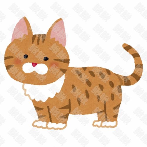 曼基康猫的写实插画的小猫猫咪手绘卡通插画手绘png儿童插画免扣素材1阿猫阿狗
