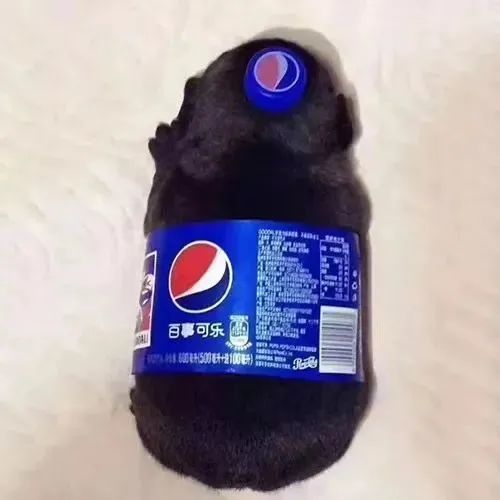 情侣头像丨情侣头像一男一女动漫可爱