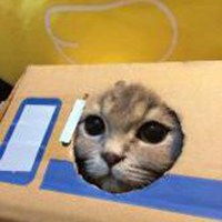 动画猫躲着看的头像女生微信头像图片大全