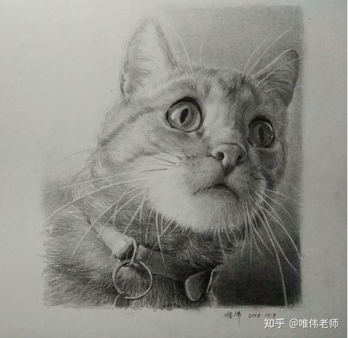 学习动漫需要素描基础吗