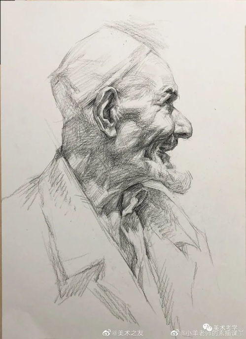 素描头像范画