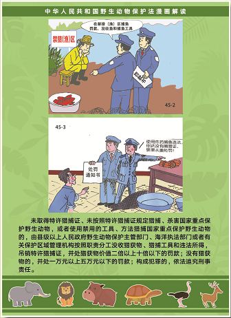 请传阅漫画图解新版野生动物保护法