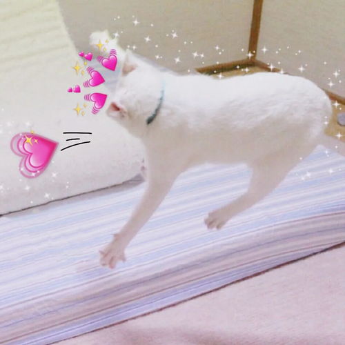 今日头像推荐,314