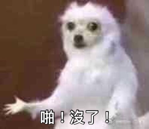 升级完少5g空间ios15.4更新,戴口罩刷脸,男男怀孕表情包来了