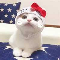 一对两张超萌乖巧小猫情头头像