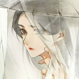 最近火了一种冷系女生头像,人生若只如初见,何事秋风悲画扇