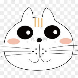 害羞的猫图片害羞的猫图片素材免费下载千库网