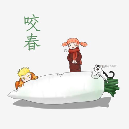 立春卡通男孩卡通女孩可爱风格清新风啃萝卜图片大小2000x2000px图片尺寸904.91kb来自png搜索网pngss.com免费免扣png素材下载白萝卜大萝卜卡通男孩卡通女孩卡通手绘卡通娃娃可爱风格啃萝卜立春猫咪清新风格