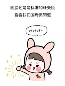 漫画丨女孩子脸圆有哪些好处