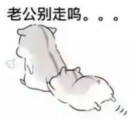 有哪些表情包可以用来撩汉