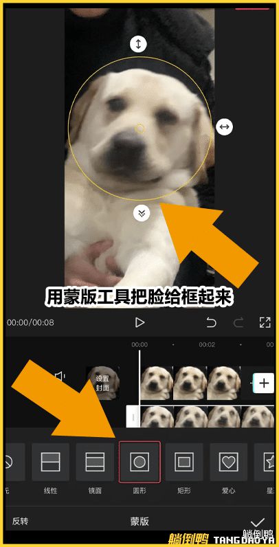 抖音超火蚂蚁呀嘿新特效照片张嘴唱歌太上头附教程