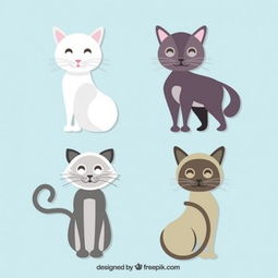 图片免费下载黑色的猫素材黑色的猫模板千图网