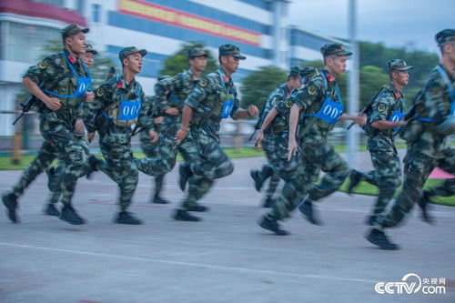 战味十足武警官兵开展我是冠军军人运动会