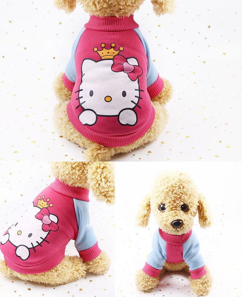 新款卡通加绒大小狗狗法斗泰迪毛猫咪衣服冬宠物服饰装用用品
