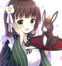 包圆了季度老婆