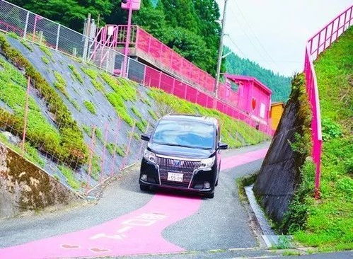 日本寻萌之旅,带你看遍日本所有的萌宠之地