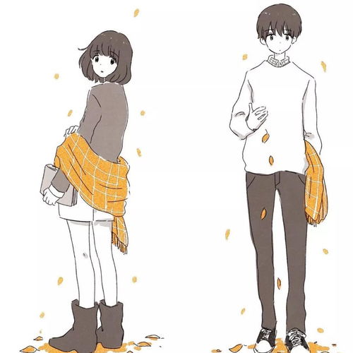cover合集