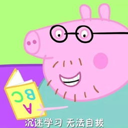考前先看一集小猪佩奇梗表情包下载考前先看一集小猪佩奇什么梗表情图片高清完整版极光下载站