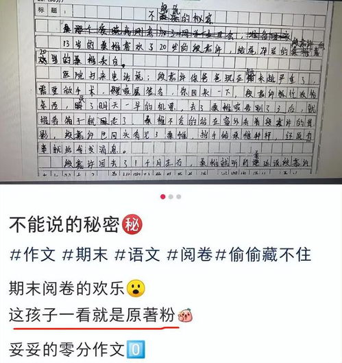 期末0分作文段嘉许和桑稚走红,老师看得很欢乐,就是不给分
