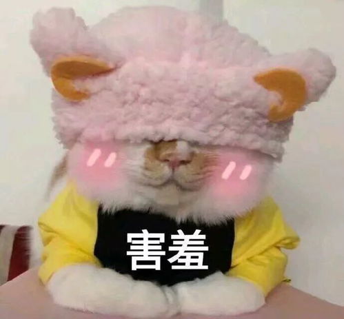 cos兔女郎只为博男友一笑,苏北先森微博是拿来记录私密生活的