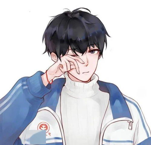 伪装学渣贺朝x谢俞头像基