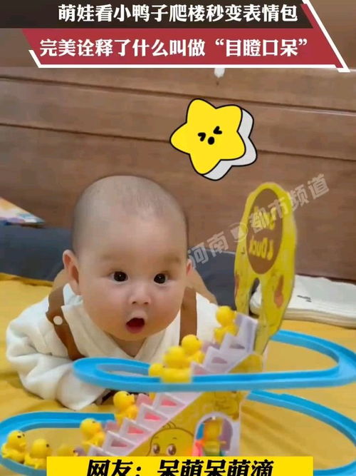 萌娃看小鸭子爬楼秒变表情包,完美诠释了什么叫做目瞪口呆搞笑萌娃