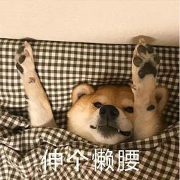 大家做过的最中二的事是什么