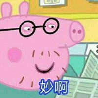 呆萌小猪头像图片大全微信头像图片大全