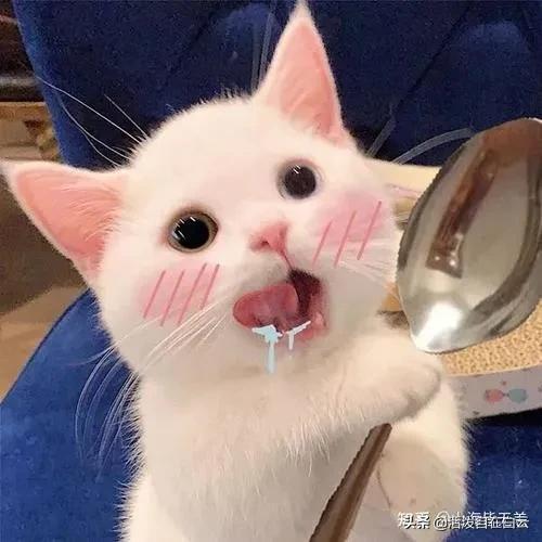 我也不想笑的,可是它真的好可爱