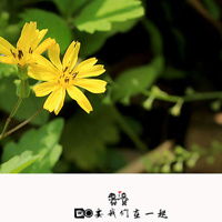 你的背影是我无法跨越的爱