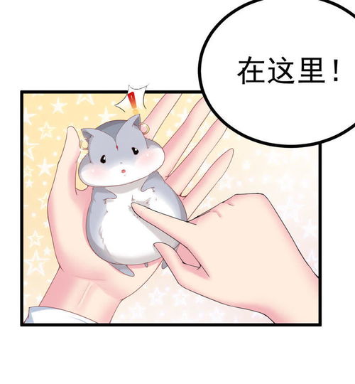 我的男神是仓鼠第2话爱奇艺漫画