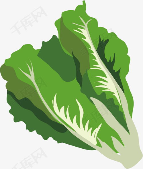 卡通白菜矢量图下载素材图片免费下载高清psd千库网图片编号10942868