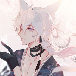 精选阴阳师美图沉迷吸狐的日常,被崽子的美色所俘虏