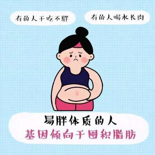 长胖显壮怎么办刘亦菲暴瘦10斤显苗条,3个方法很有效